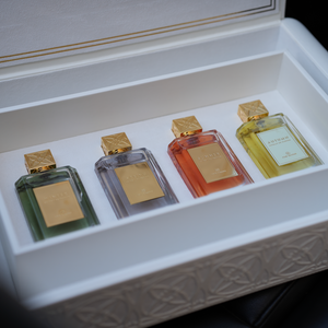 Four Seasons Suitcase 2024